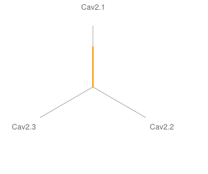 Subtype Preference Chart